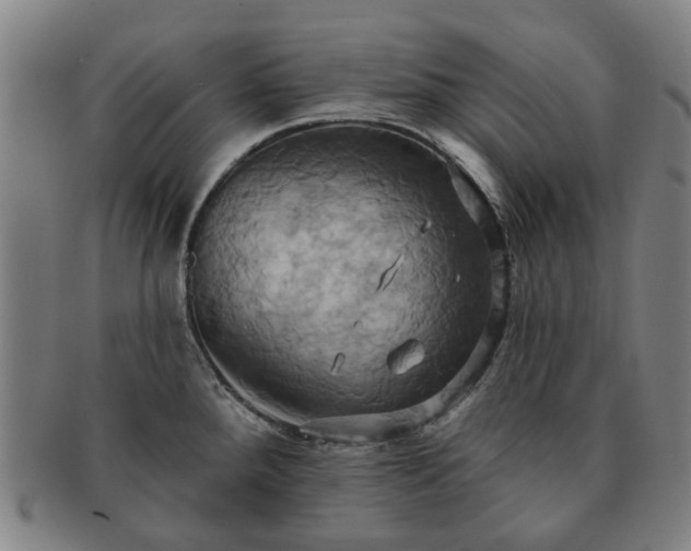 X0000091581288200708271212
