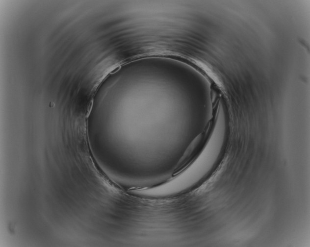 X0000091581289200708271212
