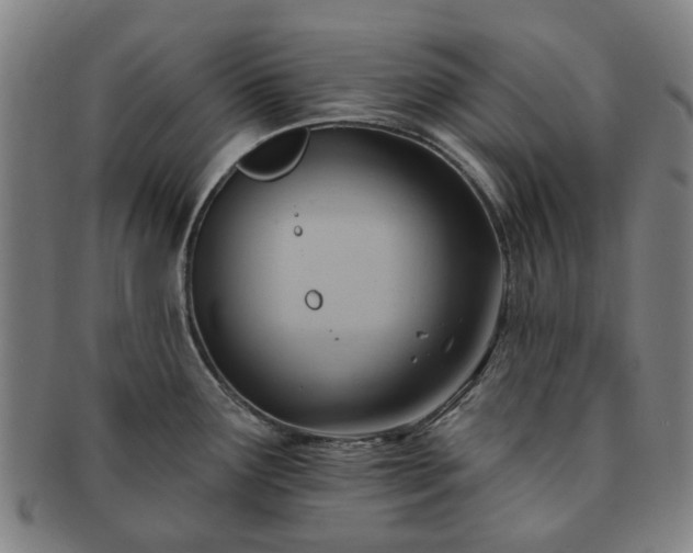 X0000091581291200708271212