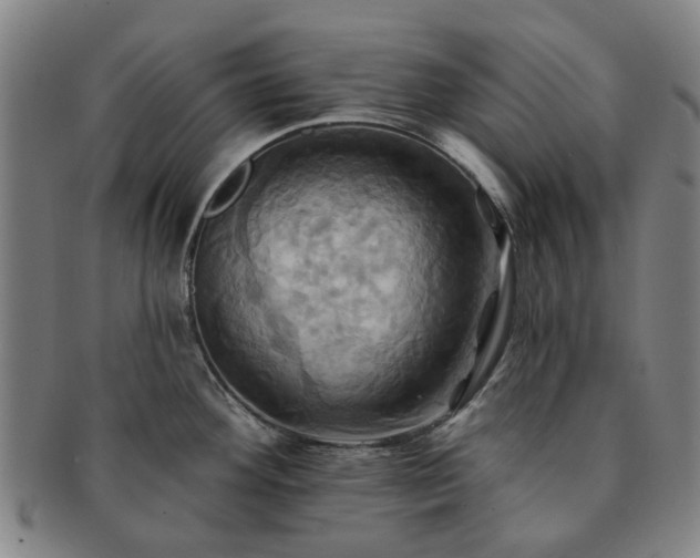 X0000091581292200708271212
