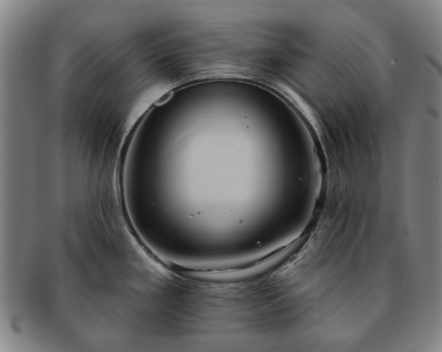 X0000091581293200708271212