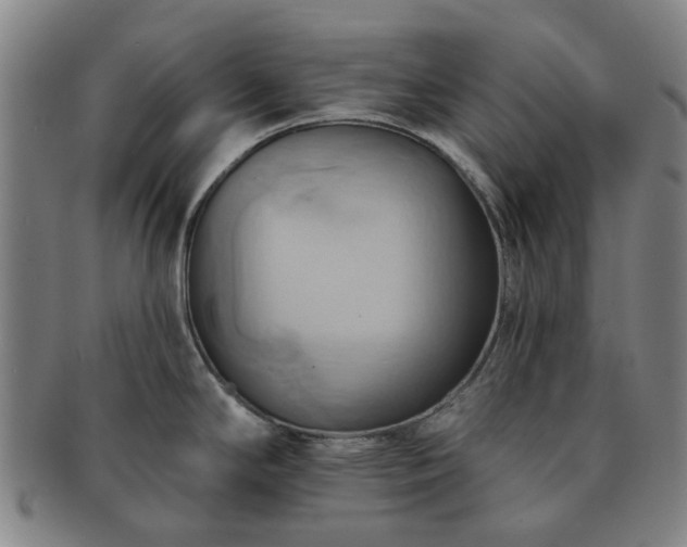 X0000091581294200708271212