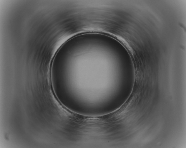 X0000091581295200708271212