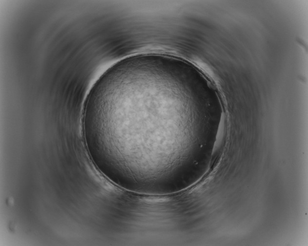 X0000091581296200708271212
