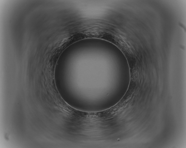 X0000091581297200708271211