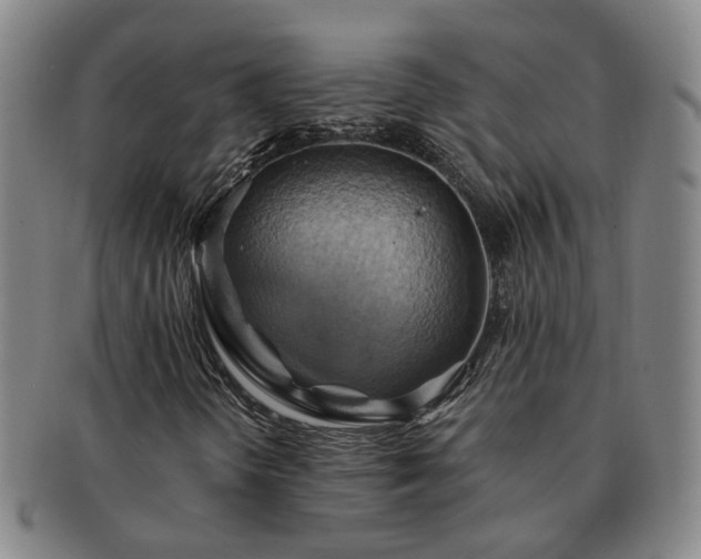 X0000091581298200708271211