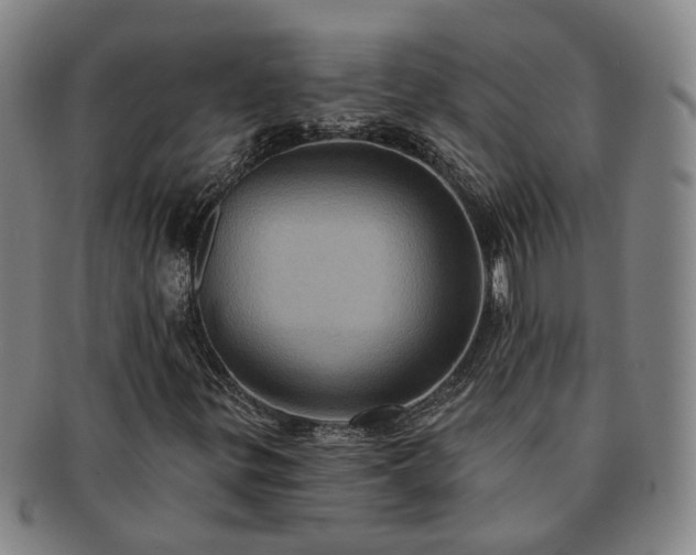 X0000091581299200708271211
