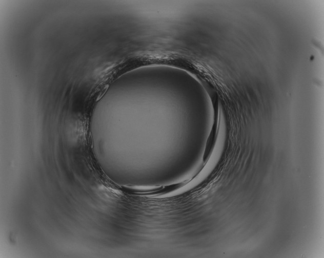 X0000091581300200708271211