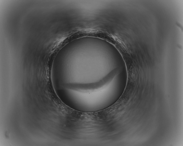 X0000091581301200708271211