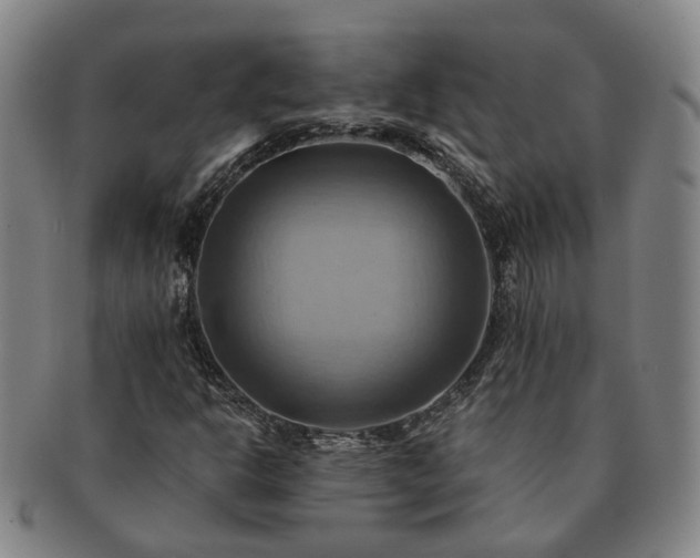 X0000091581302200708271211