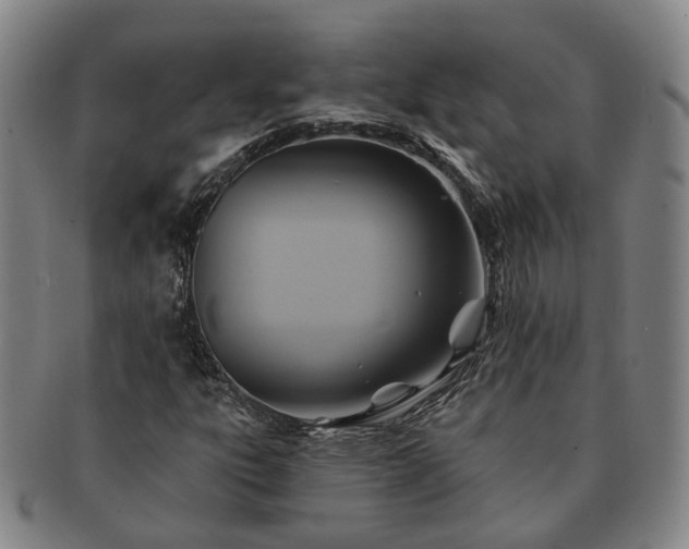 X0000091581303200708271211
