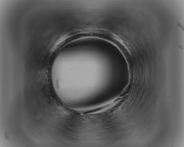 X0000091581304200708271211
