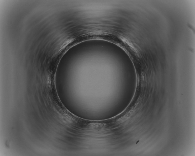 X0000091581305200708271211