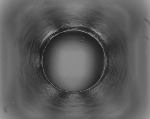 X0000091581306200708271211