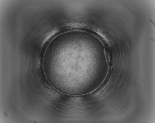 X0000091581309200708271212