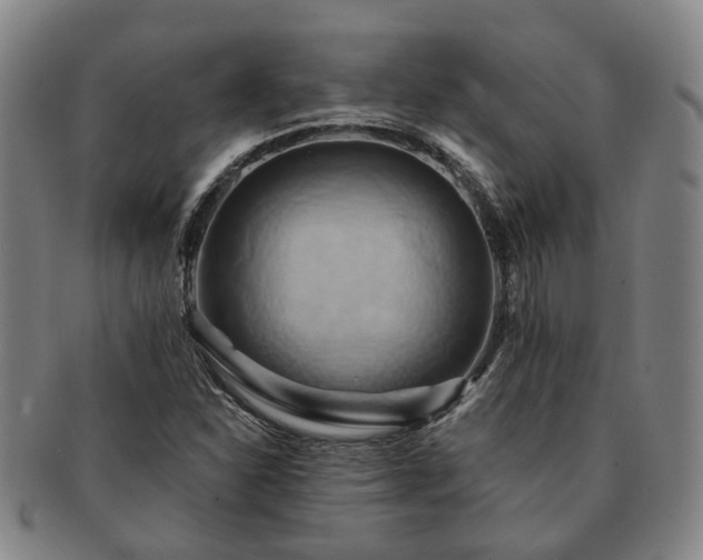 X0000091581310200708271212