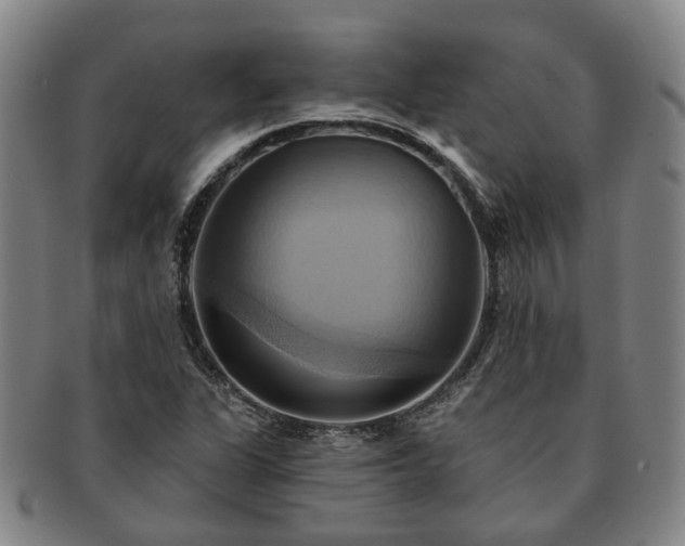 X0000091581311200708271212