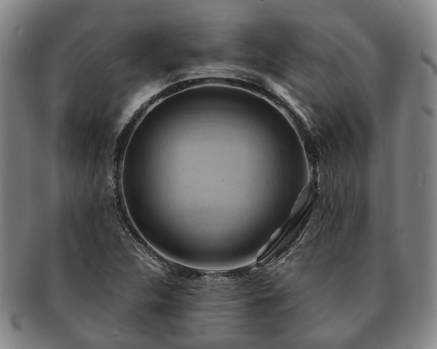 X0000091581312200708271212