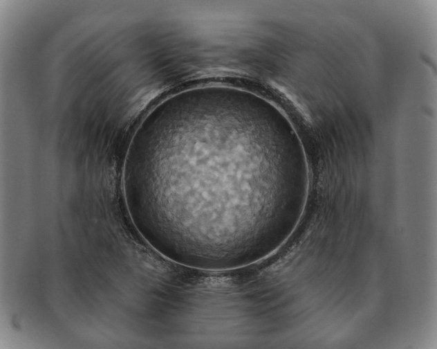 X0000091581313200708271212
