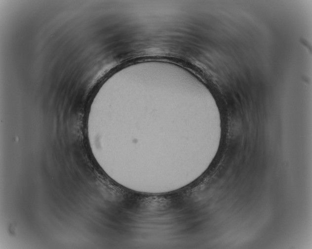 X0000091581314200708271212