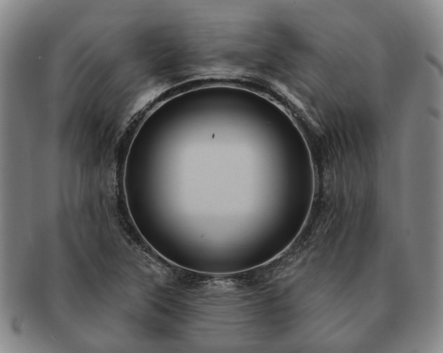 X0000091581315200708271212