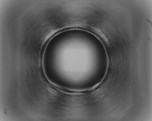 X0000091581316200708271212