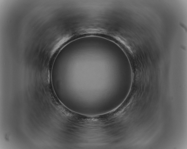 X0000091581317200708271212