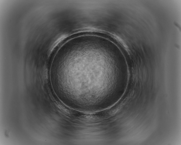X0000091581318200708271212