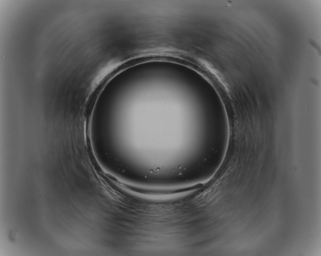 X0000091581320200708271212
