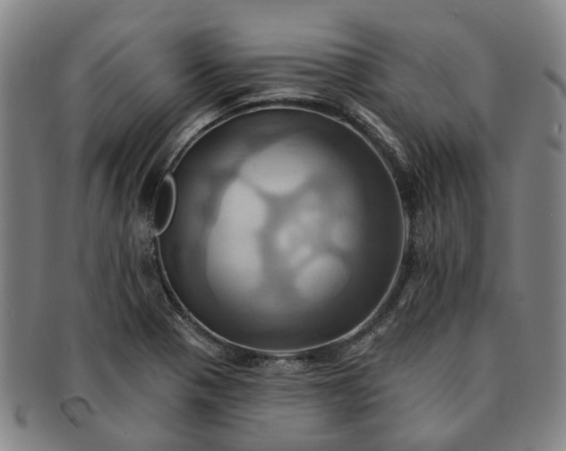 X0000091581321200708271212
