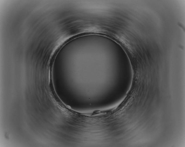 X0000091581323200708271212