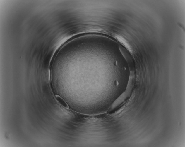 X0000091581324200708271212