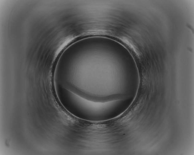 X0000091581325200708271212