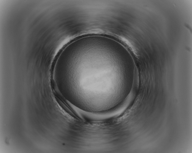 X0000091581326200708271212