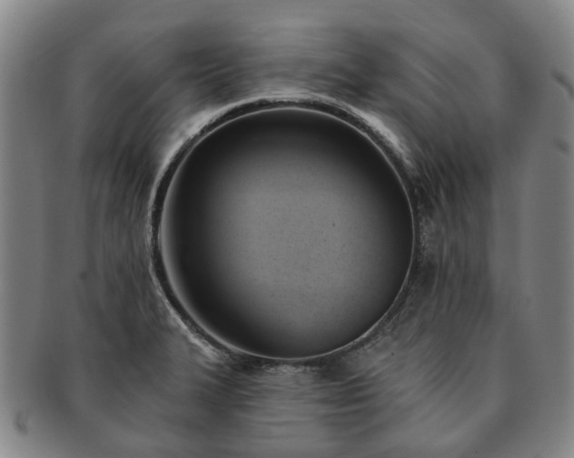X0000091581327200708271212