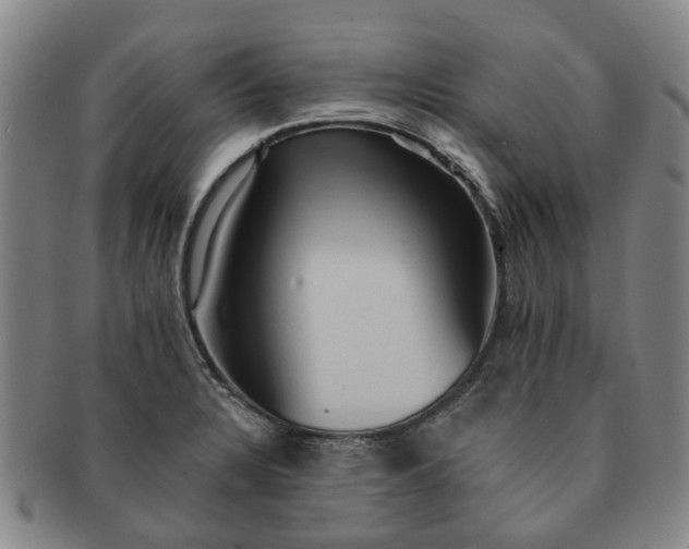 X0000091581328200708271212