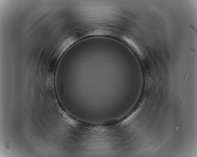X0000091581329200708271212