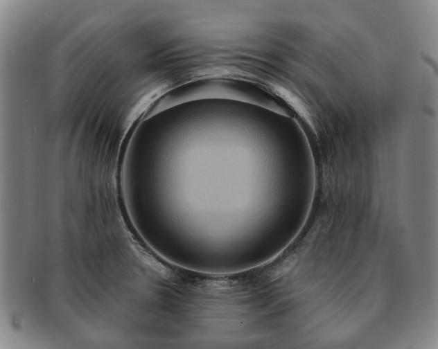 X0000091581330200708271212