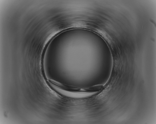 X0000091581331200708271212