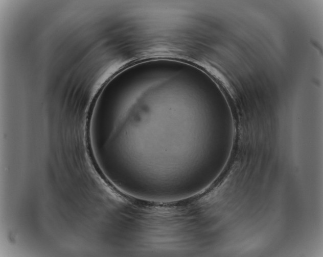X0000091581333200708271212