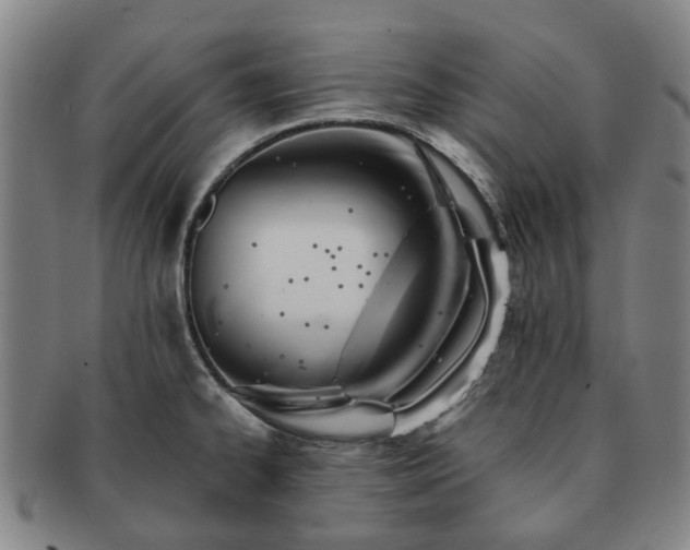 X0000091581334200708271212