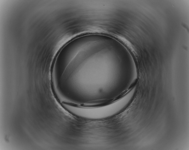X0000091581335200708271212