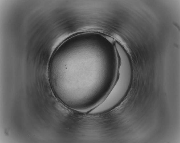 X0000091581336200708271212
