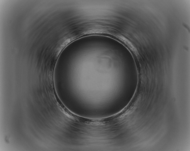 X0000091581337200708271212