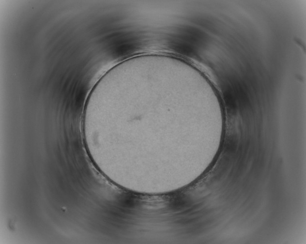 X0000091581338200708271212