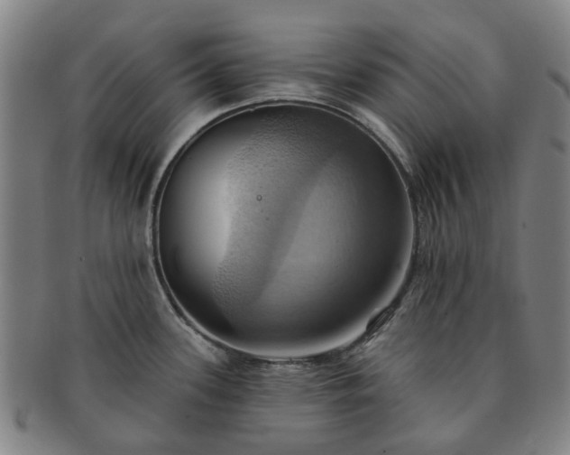 X0000091581339200708271212