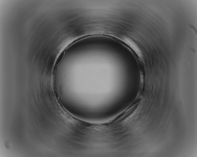 X0000091581340200708271212