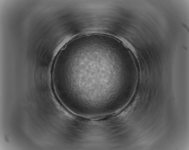 X0000091581341200708271212