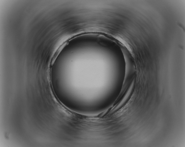 X0000091581342200708271212