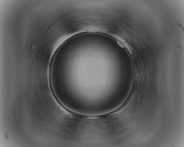 X0000091581343200708271212